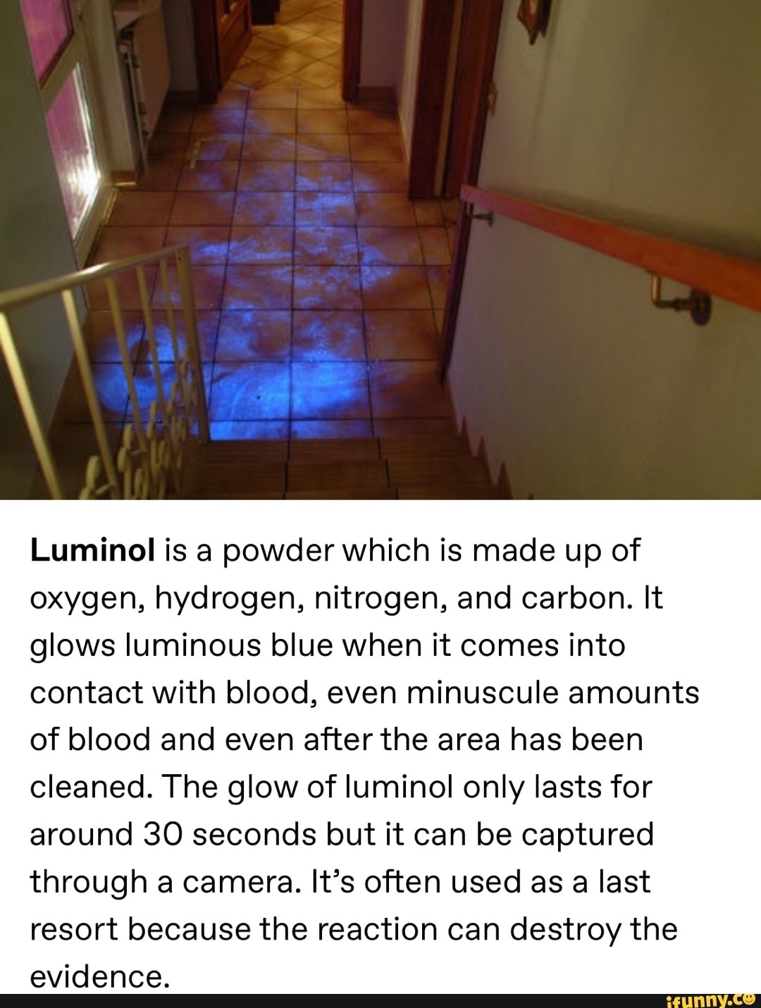 Source morbidology on tumblr Luminol is a powder which is made up