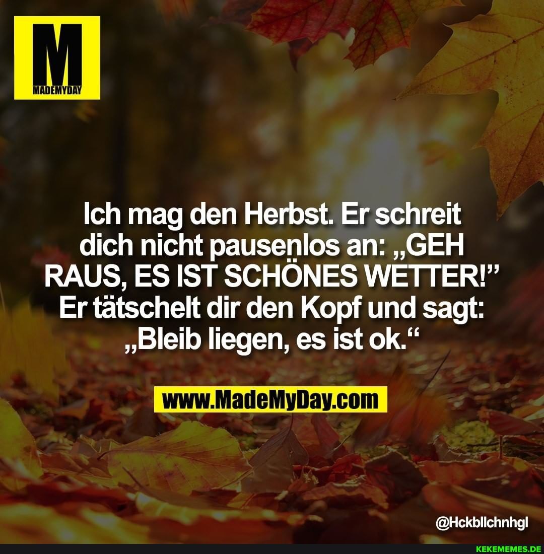 Ich mag den Herbst. Er schreit dich nicht pausenlos an: "GEH RAUS, ES IST SCHONES WETTER!"
Er tätschelt dir den Kopf und sagt:
"Bleib liegen, es ist ok."
@Hckblichnhgl