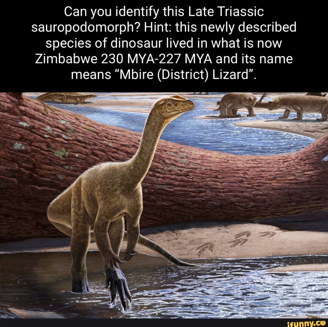 Can you identify this Late Triassic sauropodomorph? Hint: this newly ...