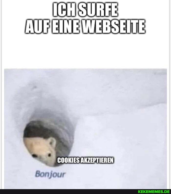 ICHISURFE
AUBEINEWEBSEITE
COOKIES AKZEPTIEREN
Bon jour