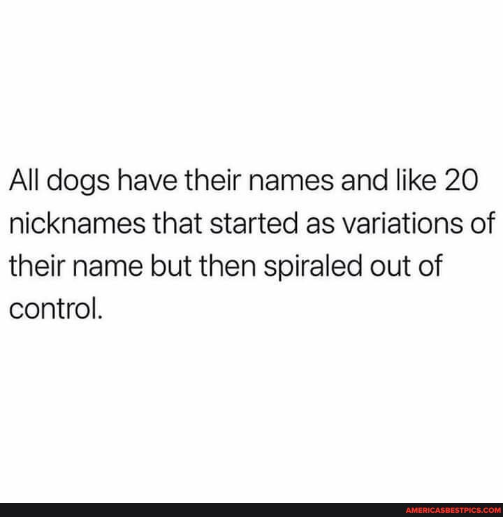 All dogs have their names and like 20 nicknames that started as