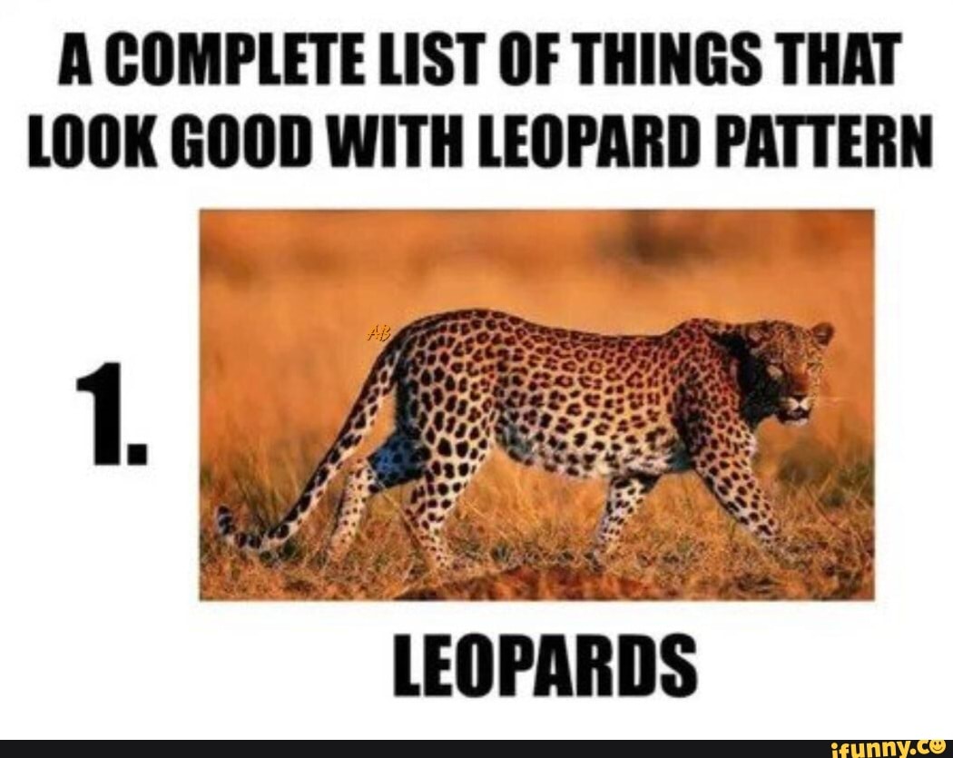 A COMPLETE LIST OF THINGS THAT LOOK GOOD WITH LEOPARD PATTERN LEOPARDS
