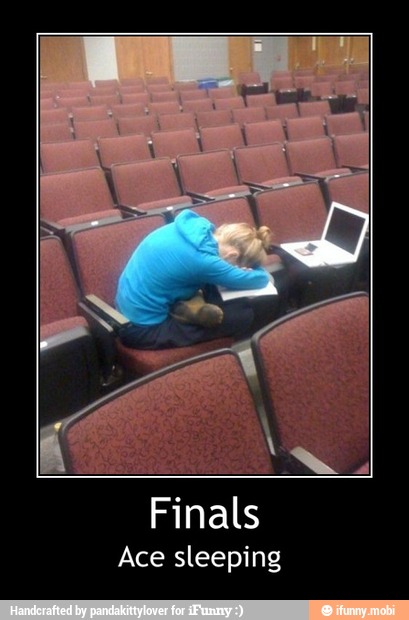 Finals
Ace sleeping - Finals
Ace sleeping