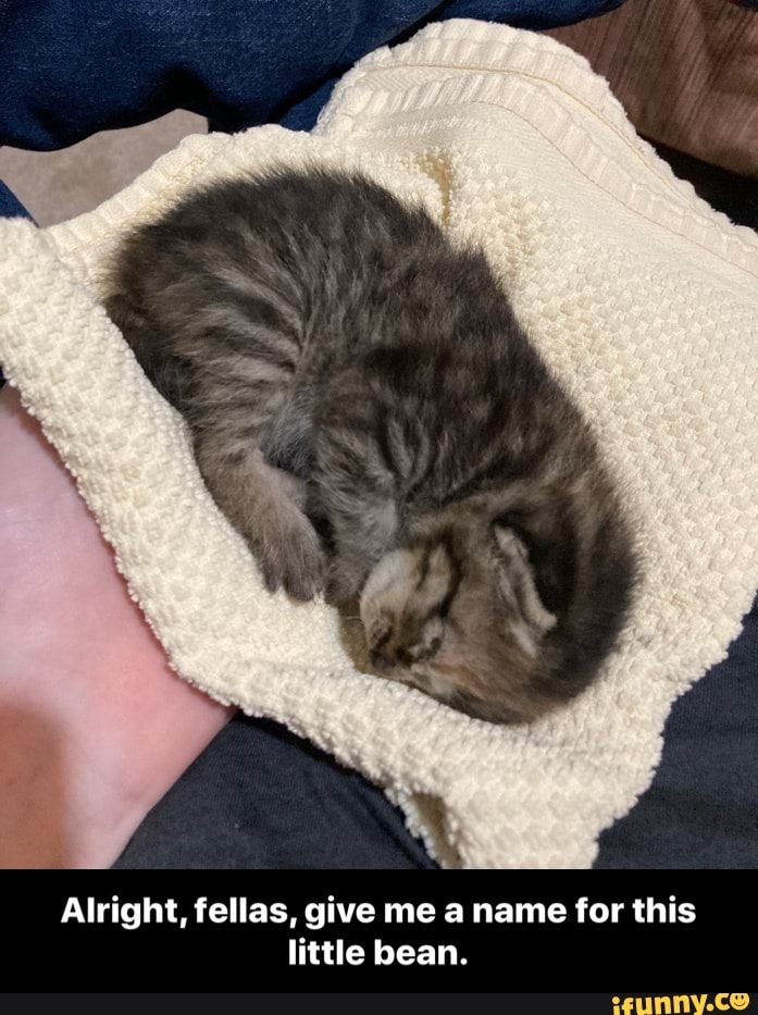 Alright, fellas, give me a name for this little bean. - Alright, fellas, give me a name for this little bean.