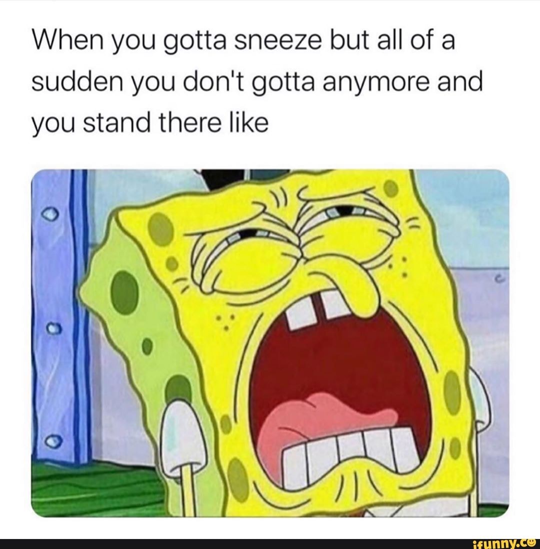 When You Gotta Sneeze But All Of A Sudden You Don t Gotta Anymore And