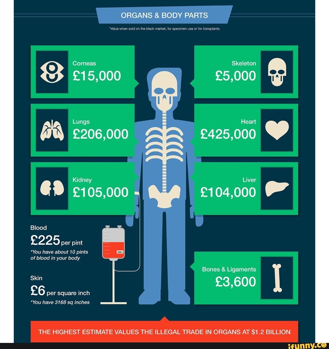 Стоимость органов картинки