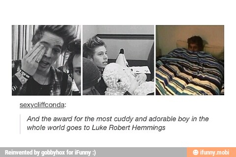 sexyolifíconda:
'And the award for the most cuddy and adorable boy in the
whole world goes to Luke Robert Hemmings