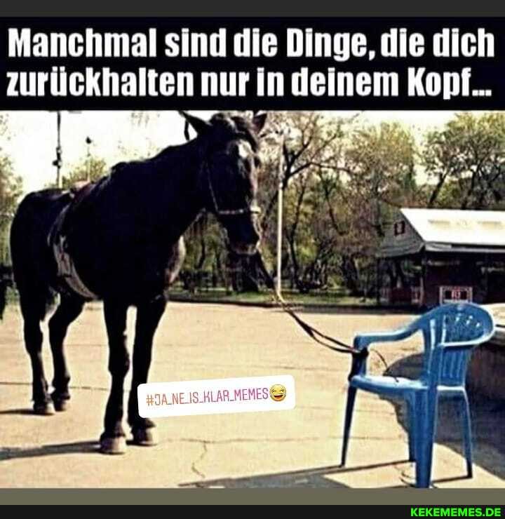 Manchmal sind die Dinge, die dich zurückhalten nur in deinem Kopf...
