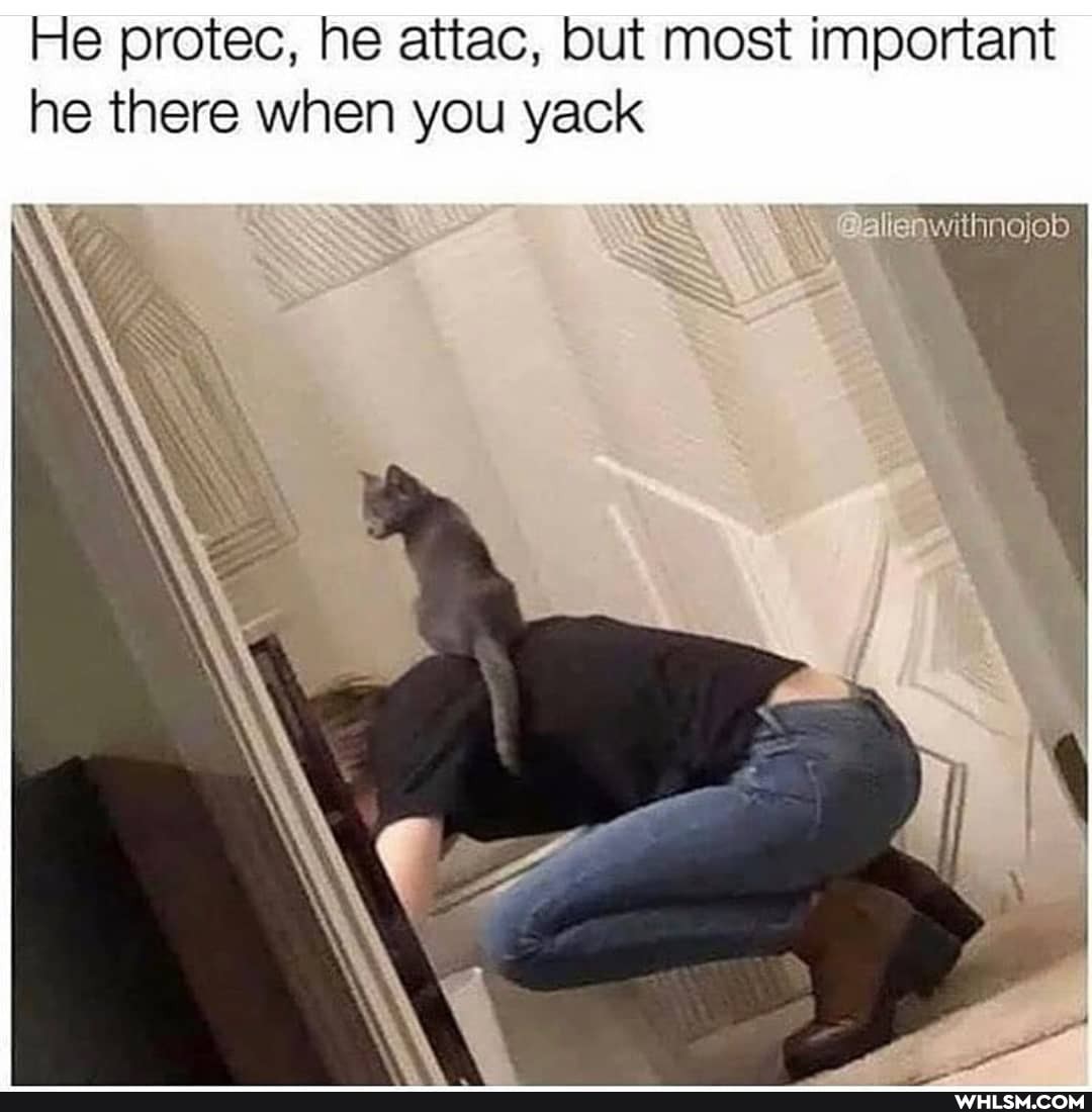 He protec, he attac, but most important he there when you yack
