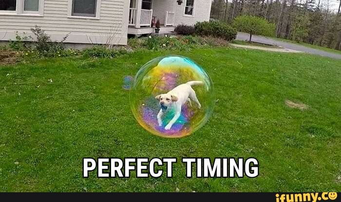 PERFECT TIMING =