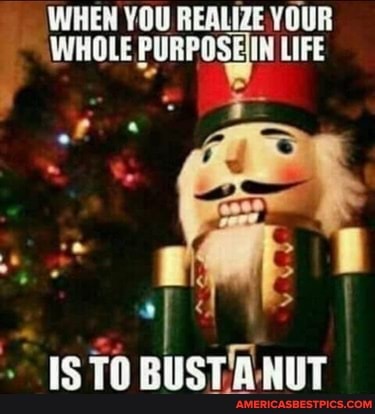 WHEN YOU REALIZE YOUR
WHOLE LIFE
ISTOBUSTANUT