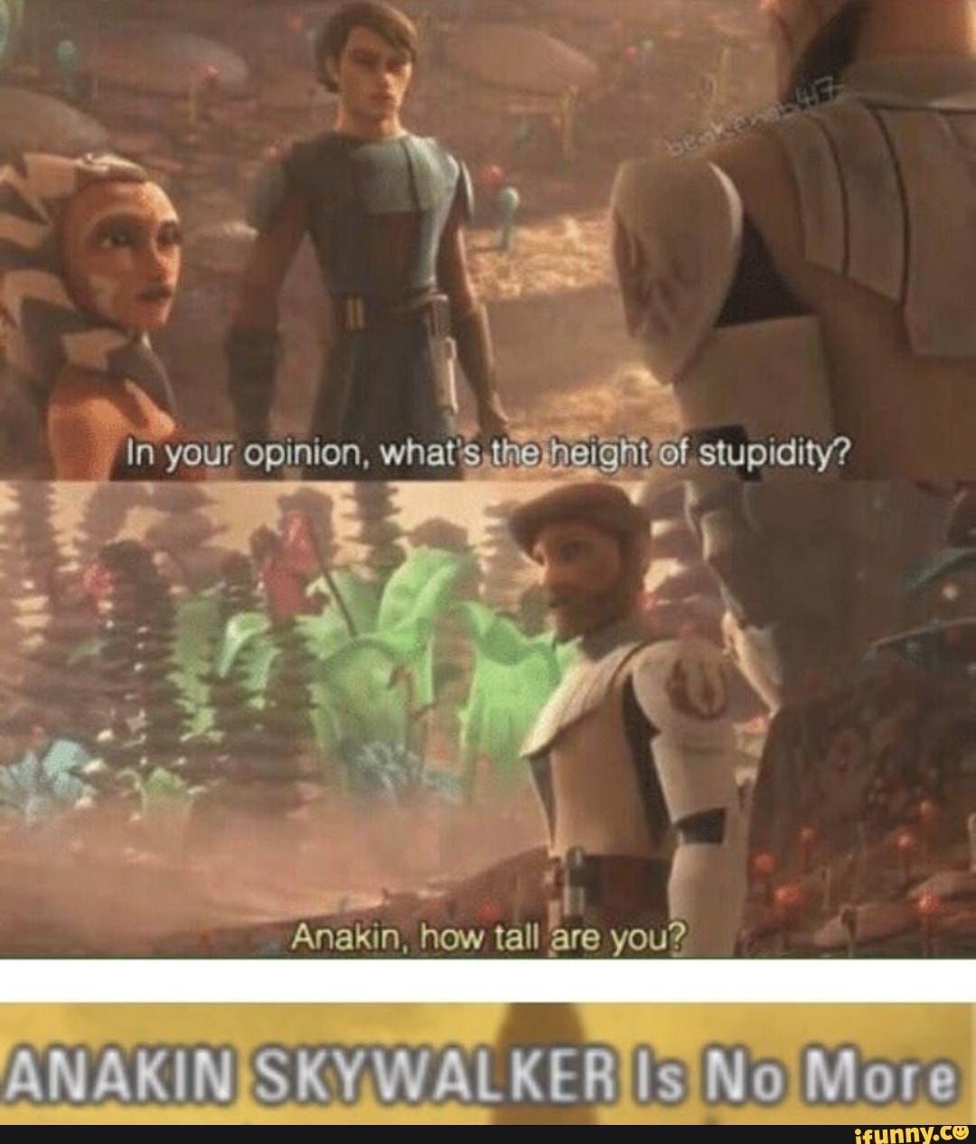 I
Anakin, how tall
Are you?