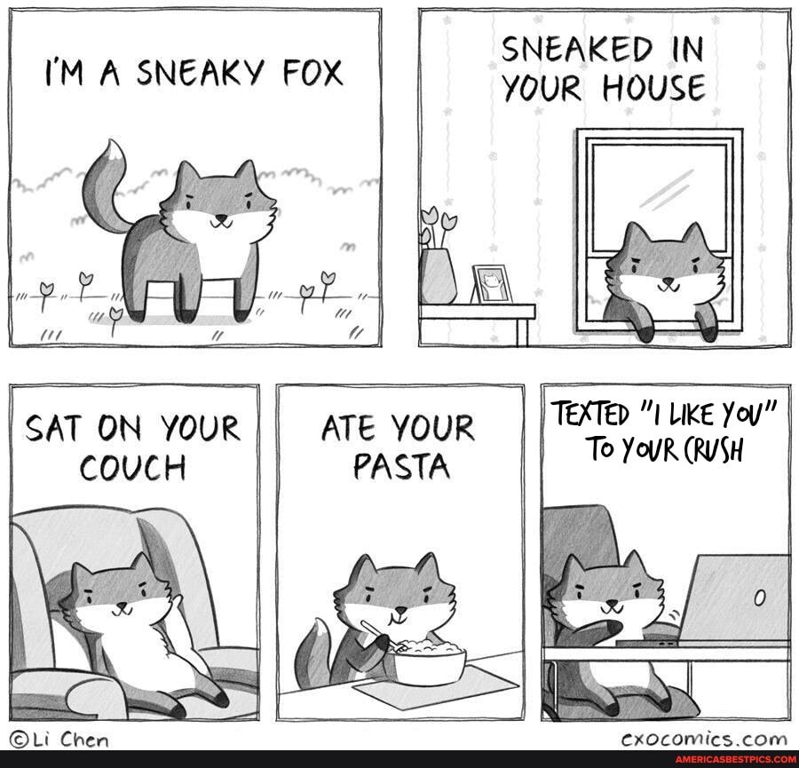 SNEAKED IN SNEAKY FOX YOUR HOUSE
AT ON YOUR
