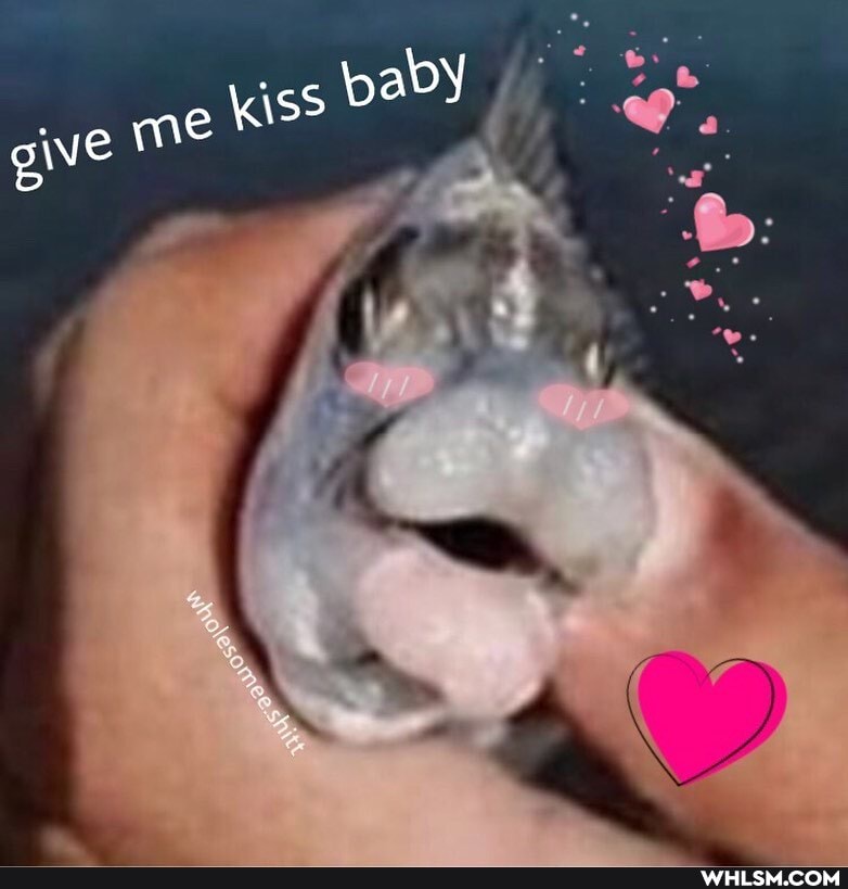 give me Kiss DAY