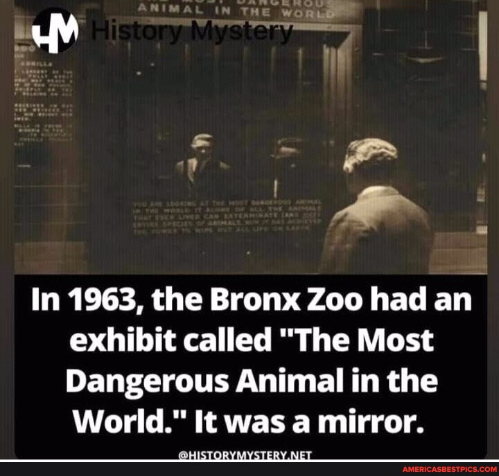 In 1963, the Bronx Zoo had an exhibit called "The Most Dangerous Animal