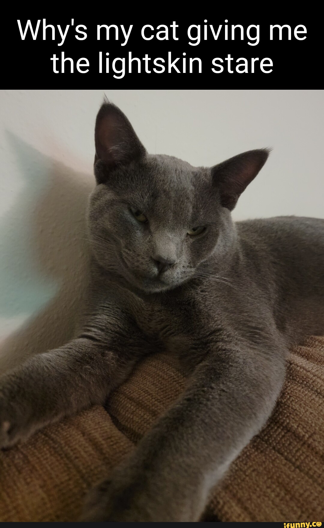 Lightskinstare memes. Best Collection of funny Lightskinstare pictures