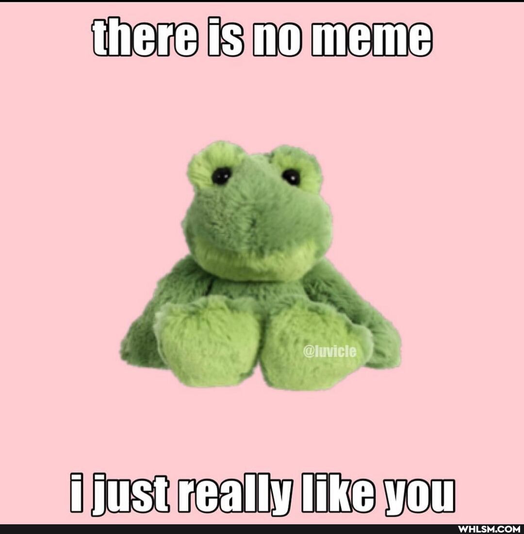 there is no meme
biust really like you