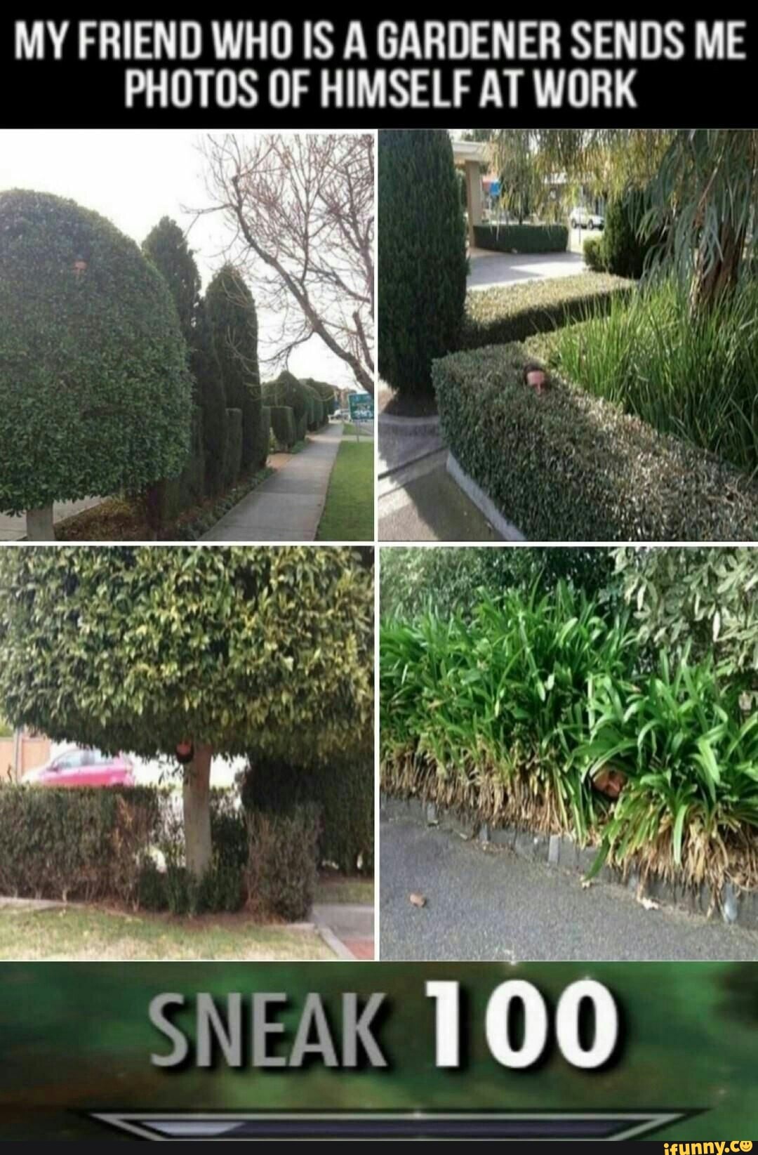 MY FRIEND WHO IS A GARDENER SENDS ME
PHOTOS OF HIMSELF AT WORK