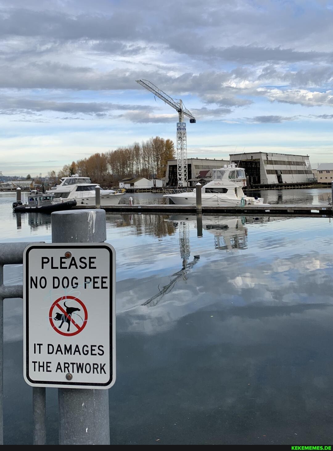 PLEASE NO DOG PEE
IT DAMAGES THE ARTWORK