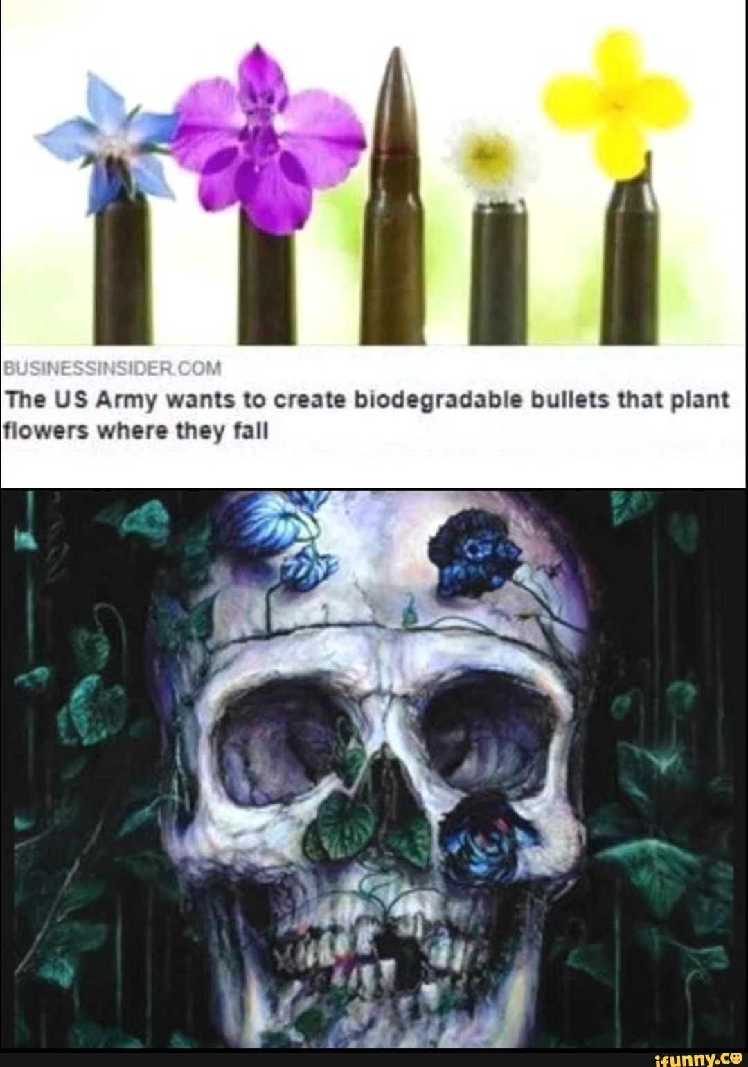 The Military Wants Biodegradable Ammo That Turns Into Plants