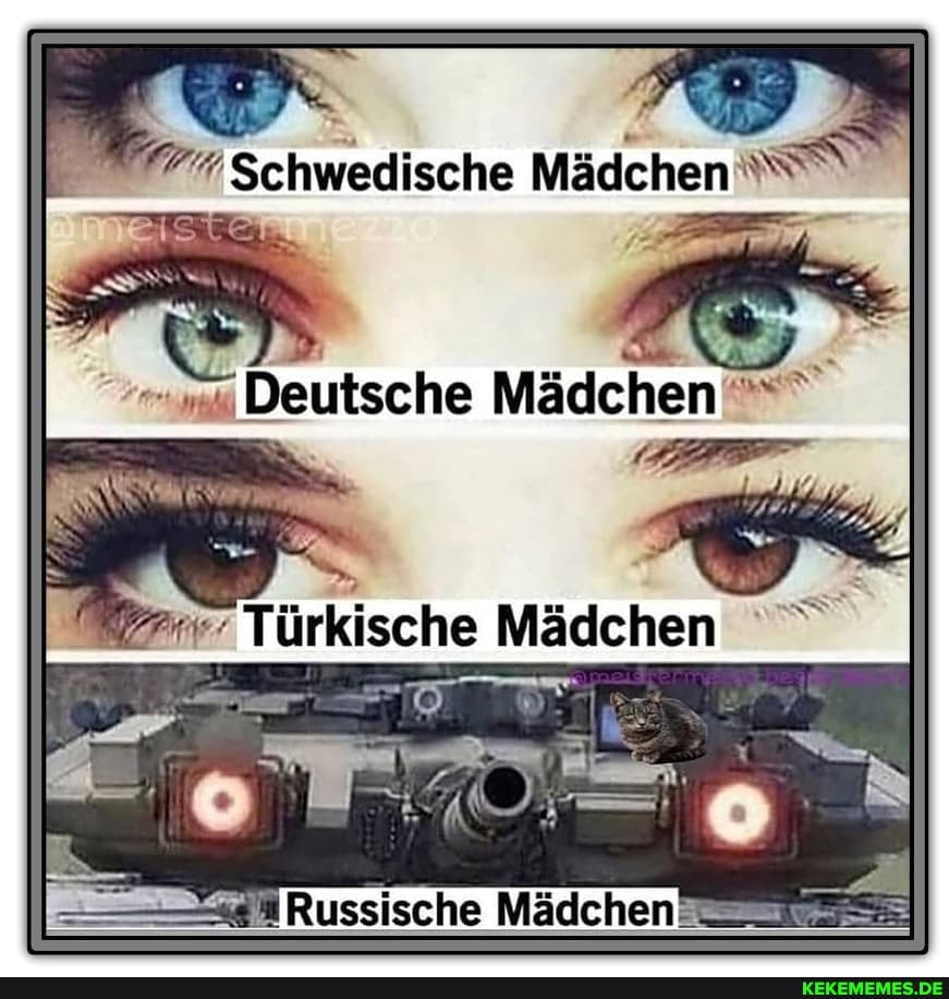 7% Schwedische Mädchen
Türkische Mädchen
Russische Mädchen