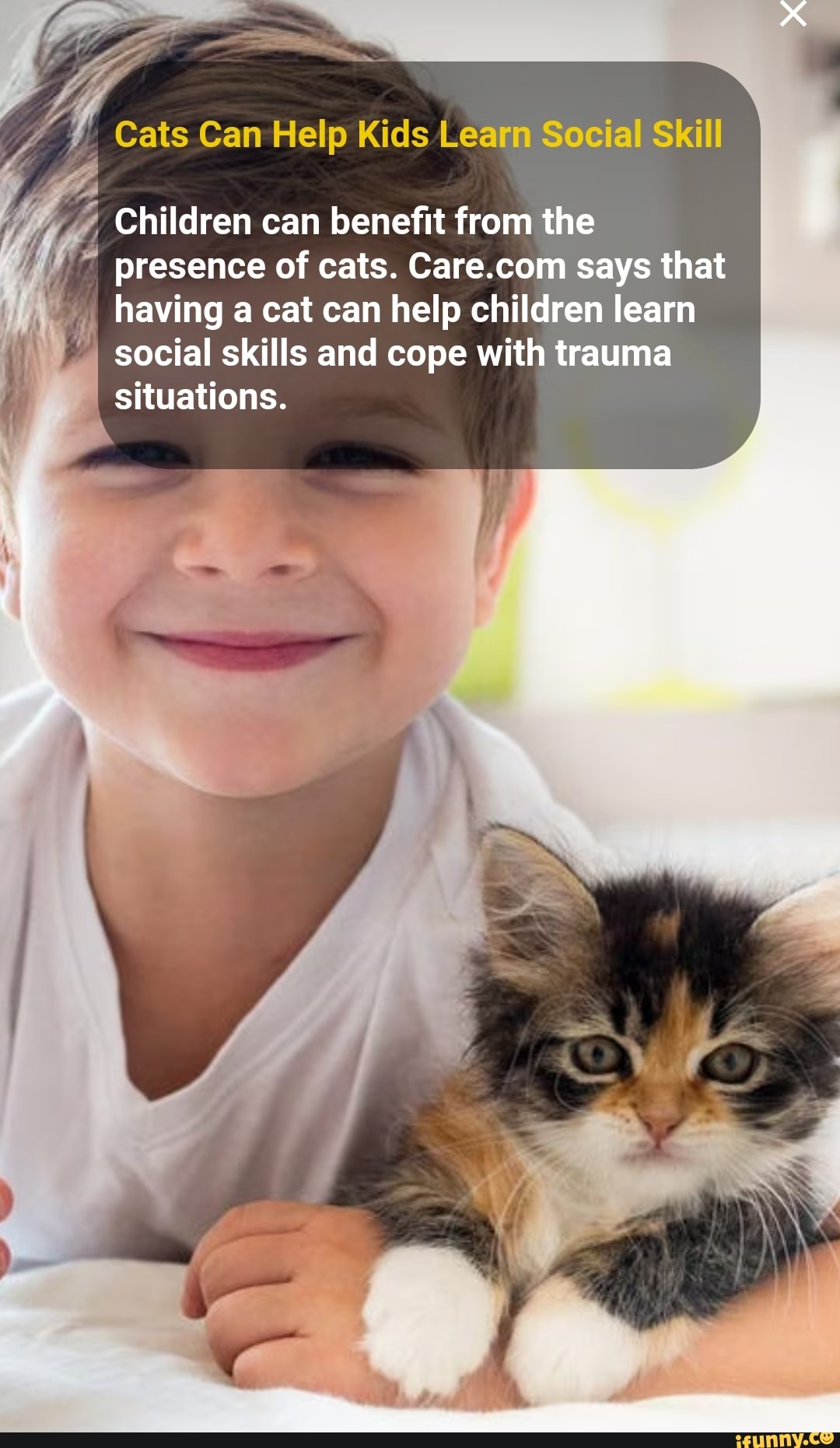 Cats Can Help Kids Learm Social Skill 4 Children Can Benefit From The