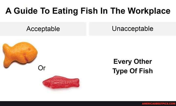 A Guide To Eating Fish In The Workplace
Acceptable Unacceptable
Every Other
Or Type Of Fish