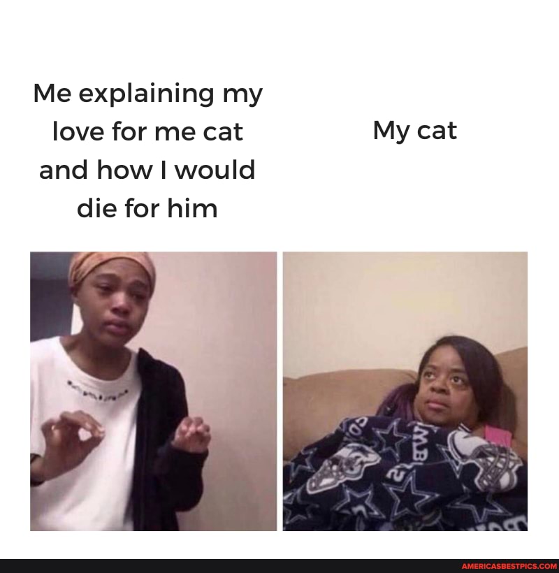 Me explaining my love for me cat My cat and how I would die for him