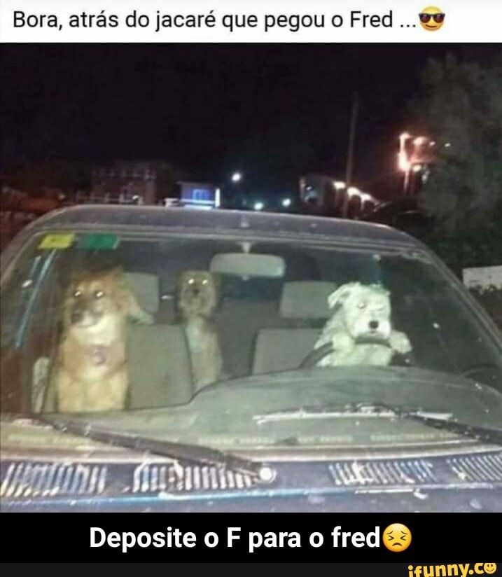 Bora, atrás do jacaré que pegou o Fred ...es
Deposite o F para o - Deposite o F para o fred😣