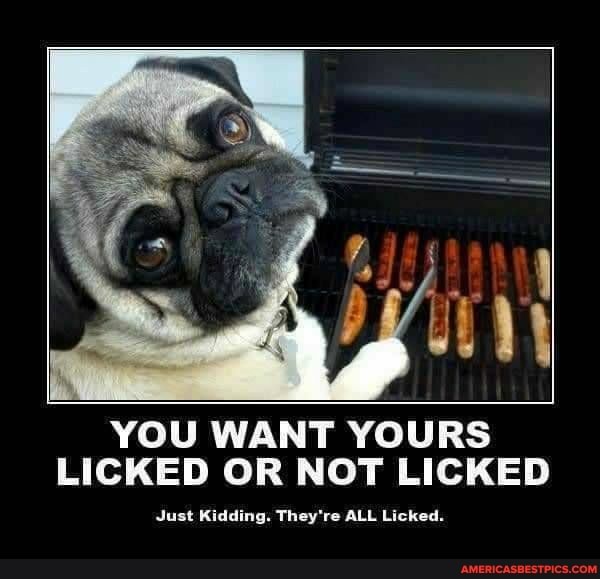YOU WANT YOURS LICKED OR NOT LICKED
Just Kidding. They're ALL Licked.