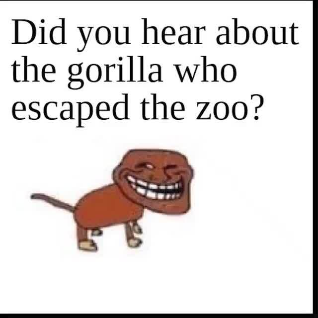 did-you-hear-about-the-gorilla-who-escaped-the-zoo