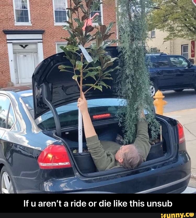 If u aren't a ride or die like this unsub - If u aren’t a ride or die like this unsub