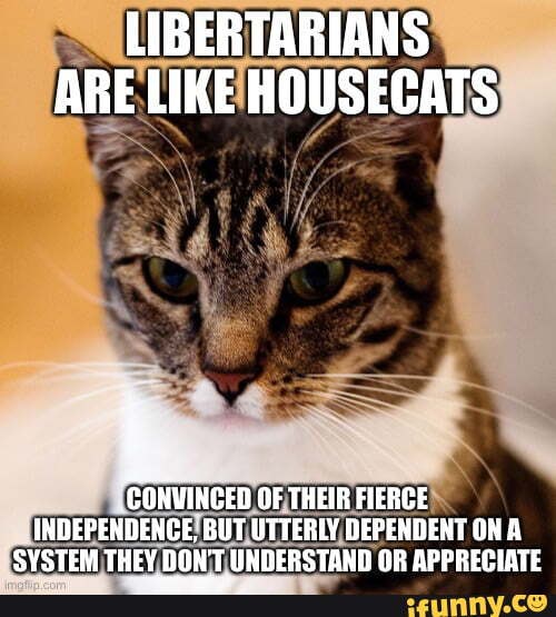 LIBERTARIANS ARE LIKE HOUSECATS CONVINCED OF THEIR FIERCE INDEPENDENCE ...