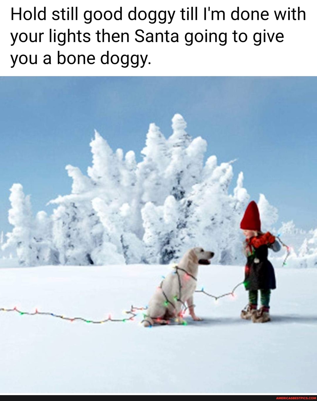Hold still good doggy till I'm done with your lights then Santa going to give you bone doggy.