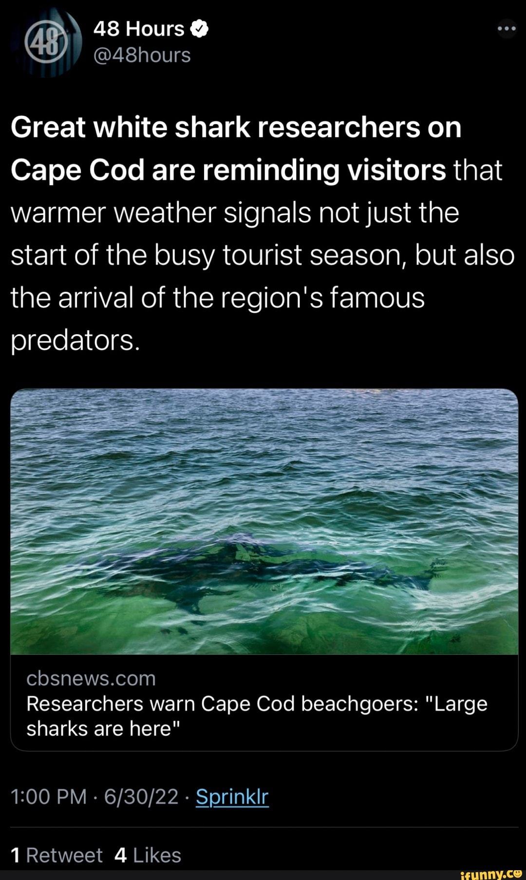 Great white warning about Great white sharks in Cape Cod. 6/30-Thur ...