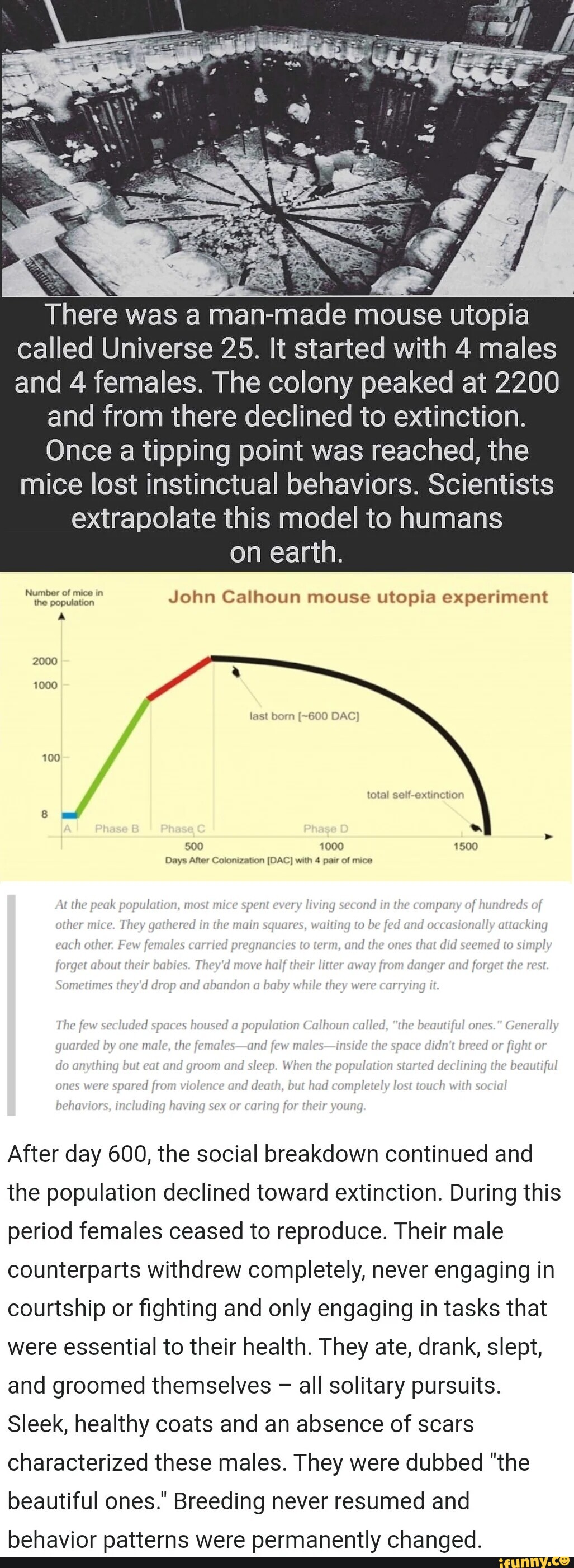 mouse utopia may predict human future
