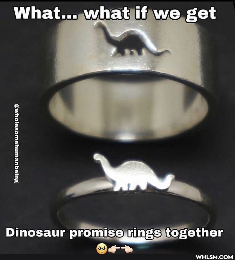 What... what if we get
duaqueinyawosajoums
Dinosaur promise rings together