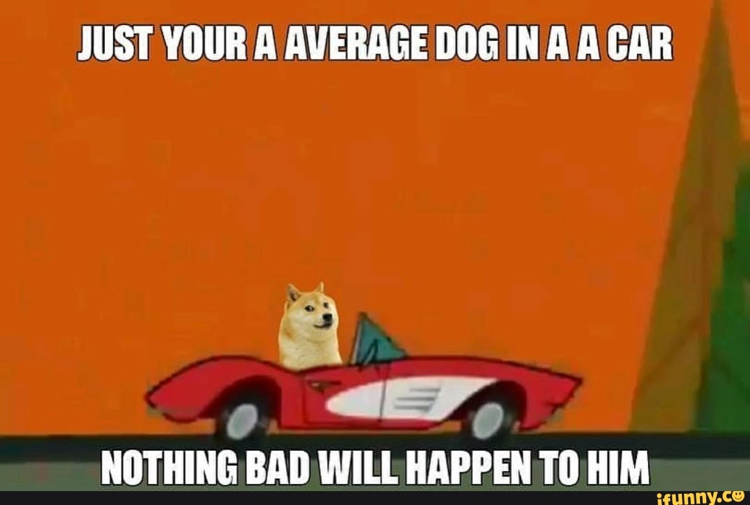 JUST YOUR AVERAGE DOG INA CAR
NOTHING BAD WILL HAPPEN HIM
