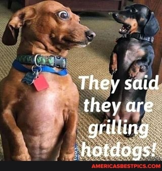 They said they are grilling
hotdogs!