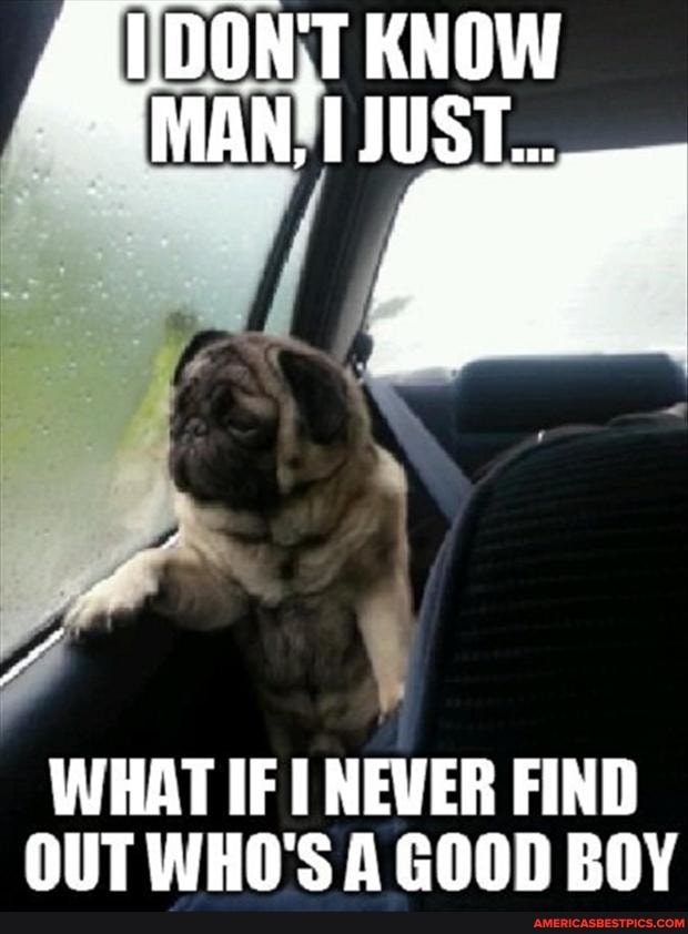 KNOW
WHAT IF NEWER FIND OUT WHO'S A GOOD BOY