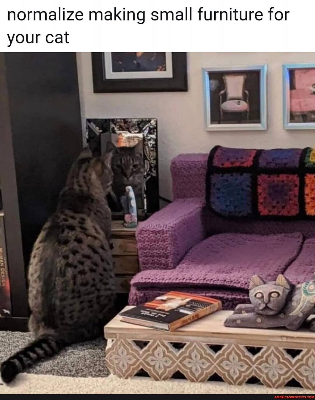 normalize making small furniture for
LN
your cat