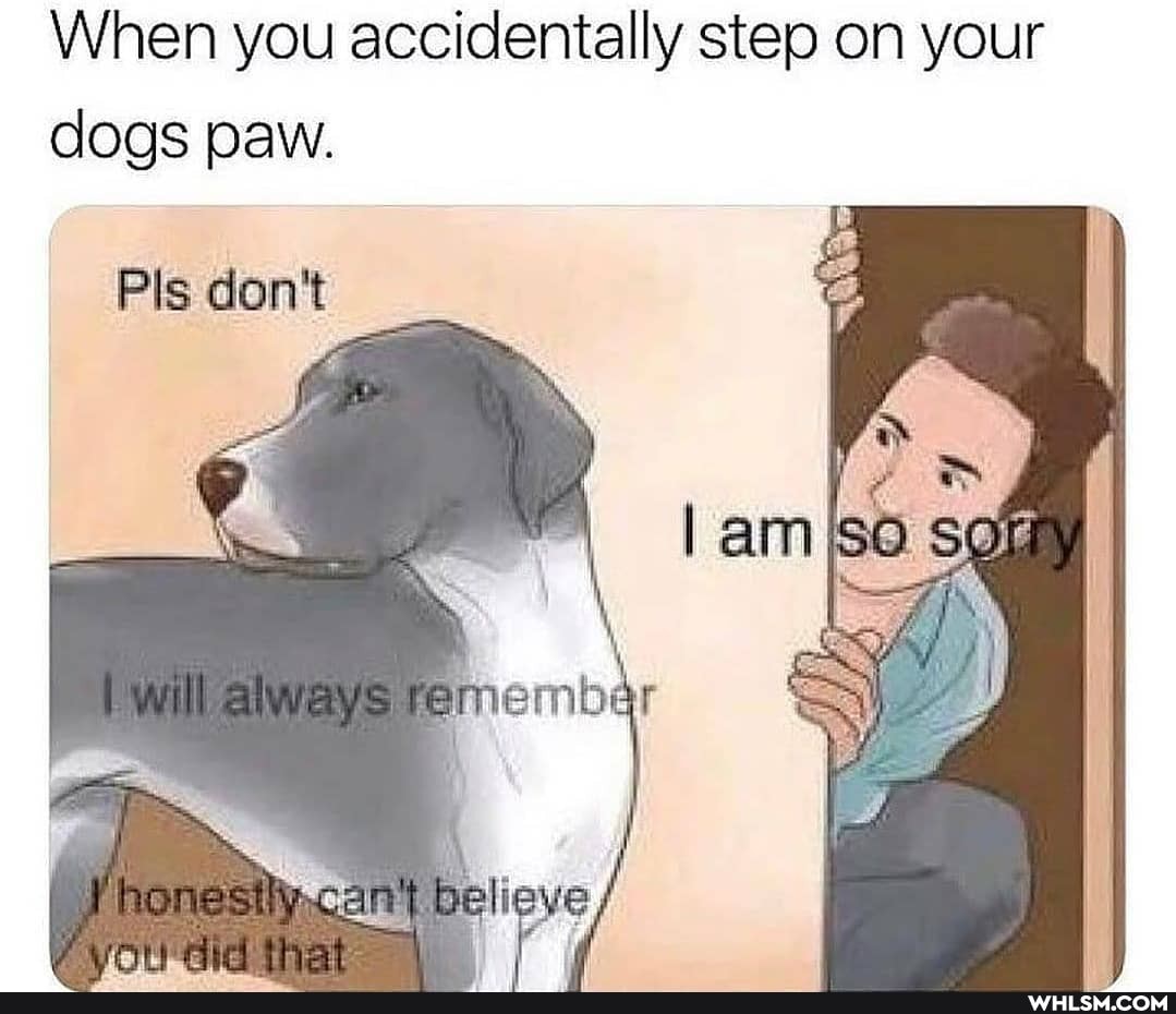 When you accidentally step on your dogs paw.
Pls don't
