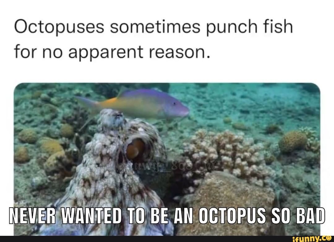 Octopuses sometimes punch fish for no apparent reason. NEVER WANTED BE