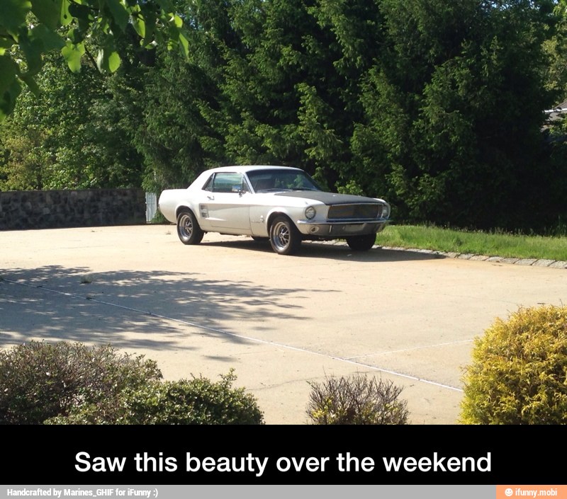 Saw this beauty over the weekend - Saw this beauty over the weekend