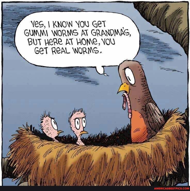 YeS, I KNOW NOU GeT GUNIMI WORMS AT GRANDMAS,
BUT HERE AT HOME, YOU GET REAL NORMS.