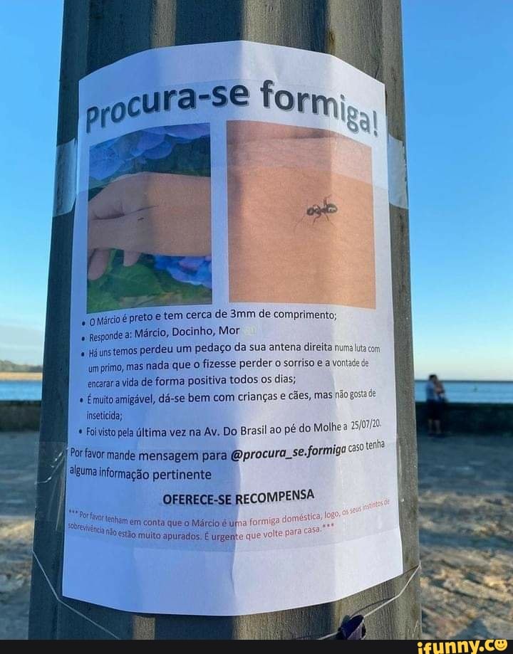 oltárdo é preto e tem cerca de de comprimento;
Responde a: Márcio, Docinho, Mor
"um primo, mas nada que o fizesse perder o sorriso e a vor
encarar a vida de forma positiva todos os dias;
Emuito amigável, dá-se bem com crianças e cães, mas não gostads inseticida;
Foivisto pela última vez na Av. Do Brasil ao pé do Molhes
itacom
aleumainformação pertinente,
OFERECE-SE RECOMPEN:
conta queo Márclo uma estão multo apurados. É urgemte que "