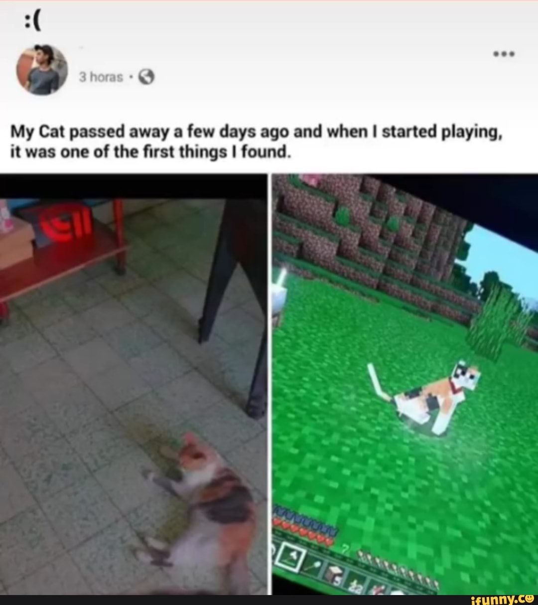 My Cat passed away a few days ago and when I started playing, it was one of the first things I found.