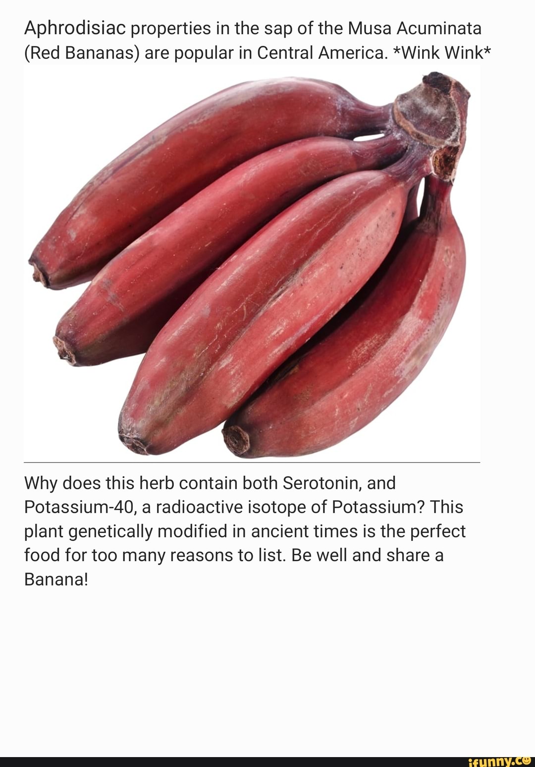 Aphrodisiac properties in the sap of the Musa Acuminata (Red Bananas