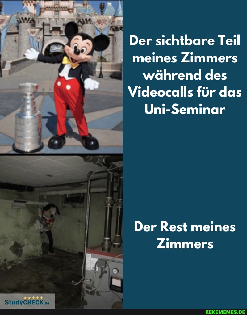 Der sichtbare Teil meines Zimmers während des
Videocalls für das
Uni-Seminar
Der Rest meines
Zimmers