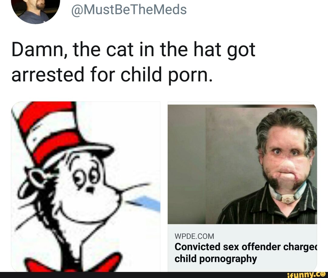Cat In The Hat Porn - Damn, the cat in the hat got arrested for child porn ...